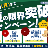 【9/7まで】国産・無添加の乾燥野菜「○○のおとも」が最大20%OFF！夏の特別キャンペーン開催＆おすすめポイントまとめ