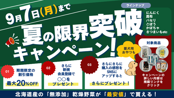 【9/7まで】国産・無添加の乾燥野菜「○○のおとも」が最大20%OFF！夏の特別キャンペーン開催＆おすすめポイントまとめ